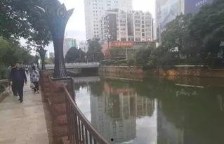 浦口盘龙城爆料案件最新,真相大白，疑云散去！”