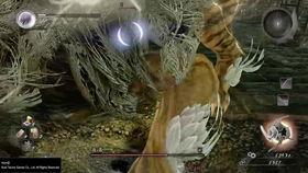 半藏官方爆料视频最新,揭秘神秘技能与未来动向