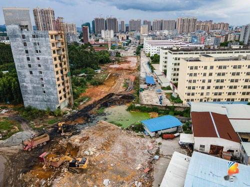 博白最新爆料,揭秘背后惊人真相