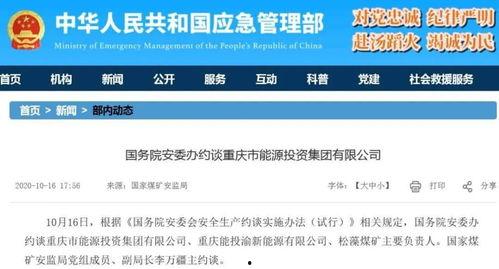 重庆政府最新爆料事件,揭开神秘事件背后真相